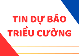 Tin dự báo triều cường, chiều ngày 07/11/2025 và ngày 08/11/2025
